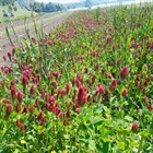 Heiligabend, Mittwoch, 24. Dezember, geöffnet