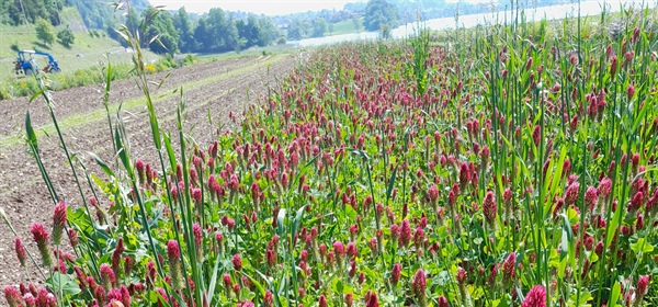 Heiligabend, Mittwoch, 24. Dezember, geöffnet