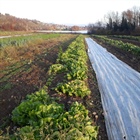 Sylvester, Dienstag, 31. Dezember, geöffnet