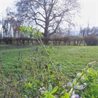 Karsamstag Hofladen geöffnet