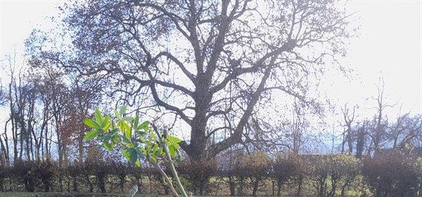 Karsamstag Hofladen geöffnet