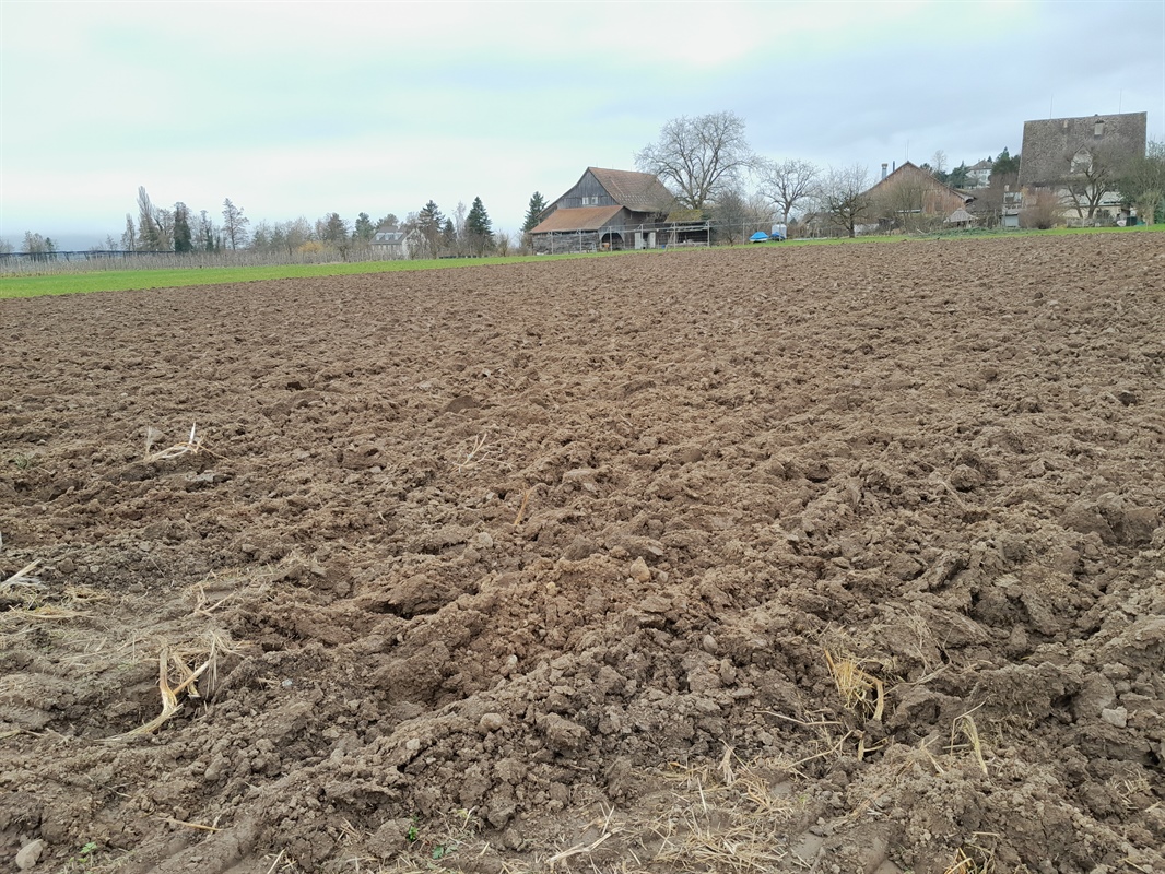 Karfreitag Hofladen geschlossen