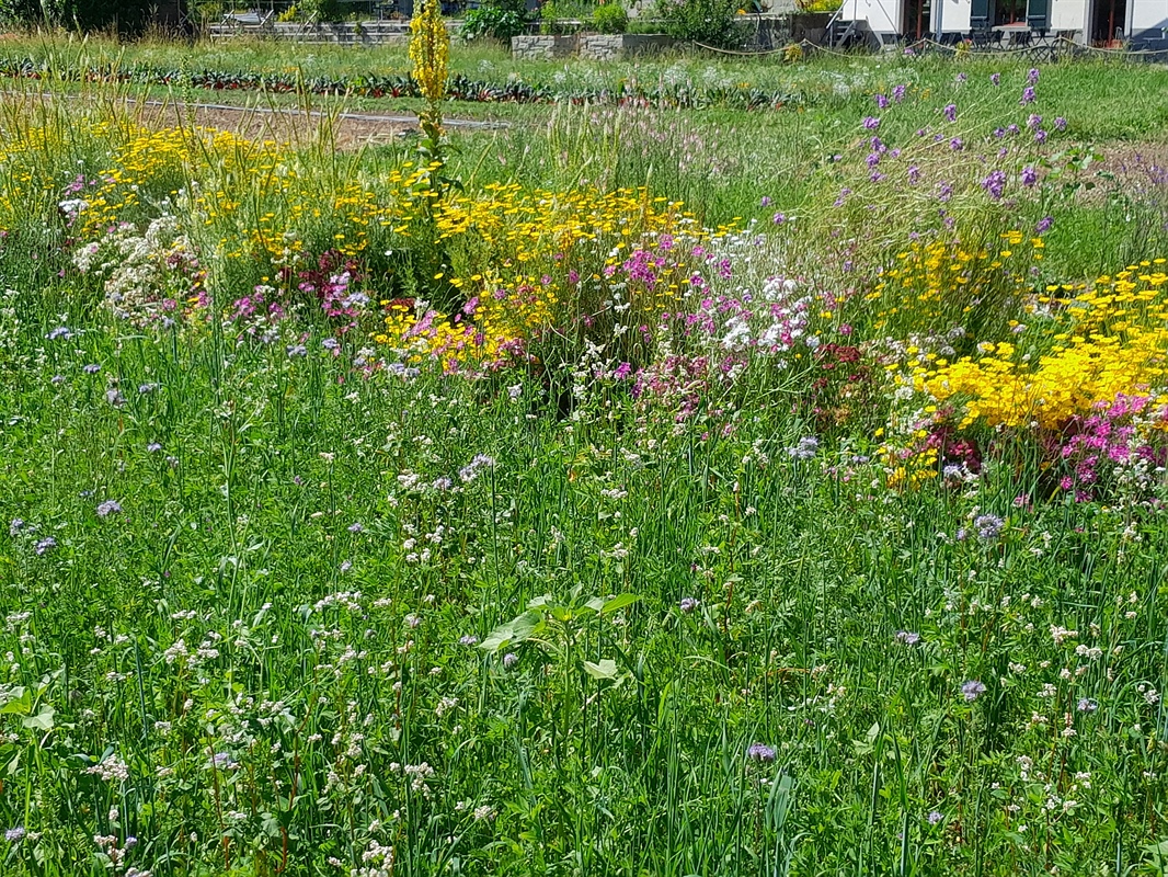 Ostermontag Hofladen geöffnet