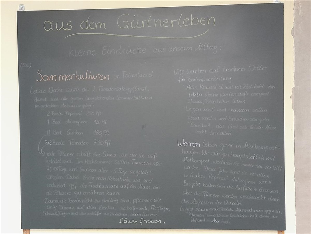 "aus dem Gärtnerleben" (8)