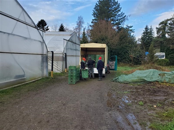 Gärtnerei Führung im Schirmensee